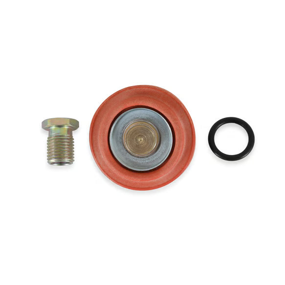 AEM Adjustable Fuel Pressure Regulator Rebuild Kit